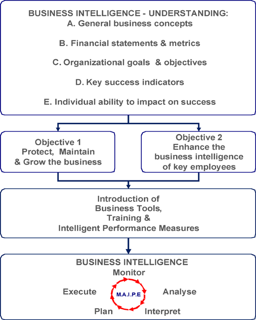 Business Intelligence Process Map